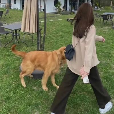 黑影家族